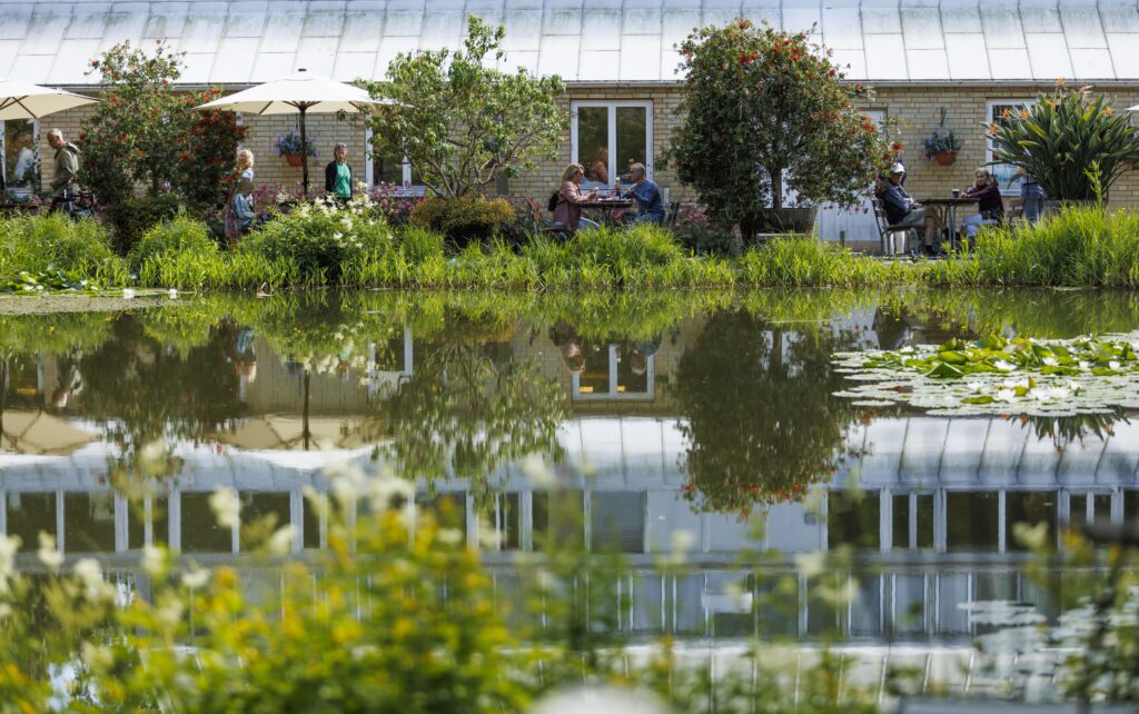 Pond reflecting image of outdoor restaurant .