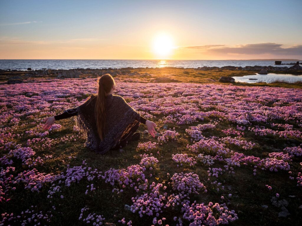 Woman sitting in meadow of pink flowers near the sea