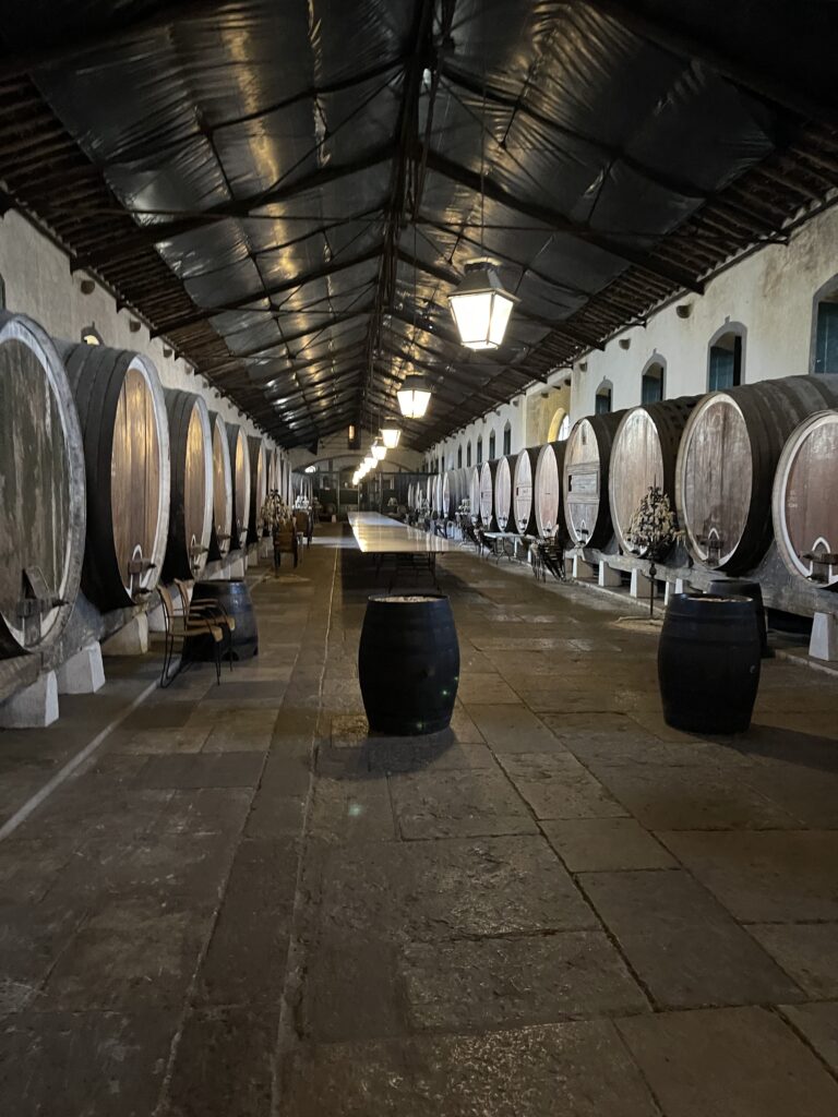 Winery interior with tanks