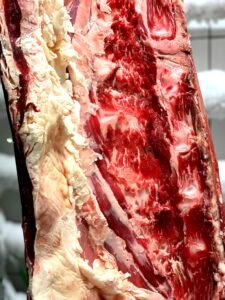 Hanging piece of raw meat in cold room