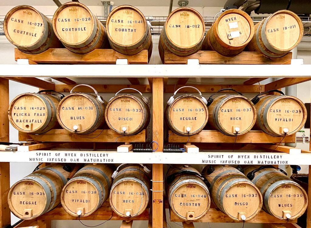 Barrels of spirits with headphones strapped around them.