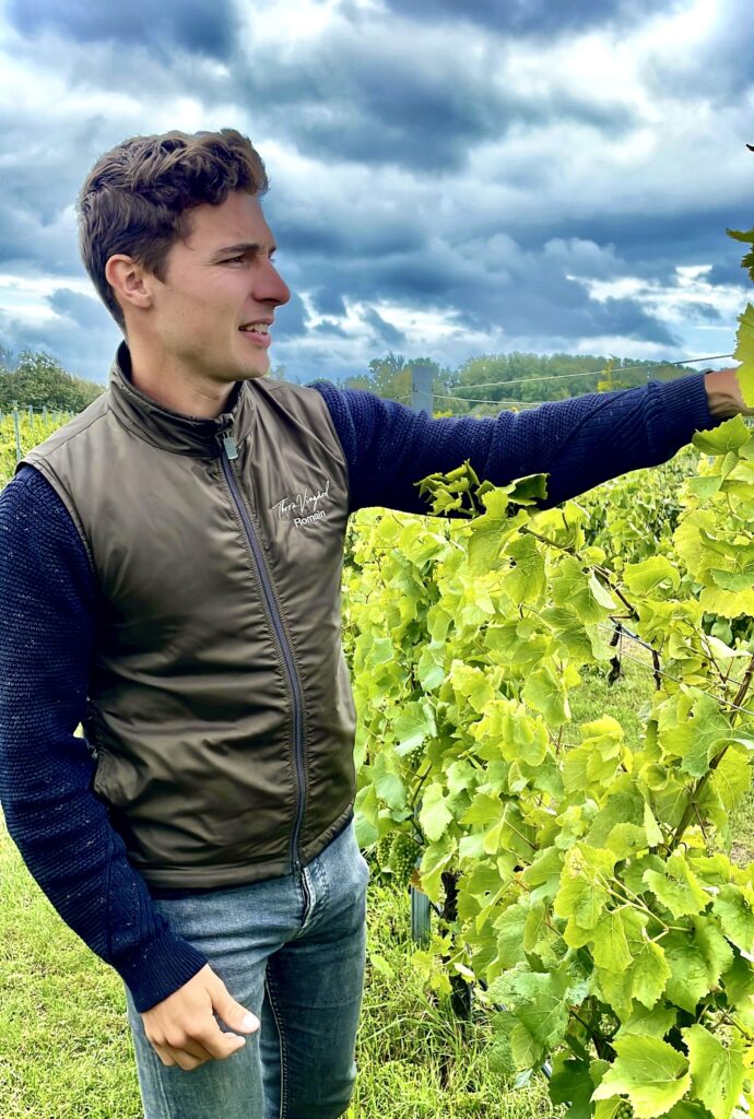 Man inspecting vines in vineyard 