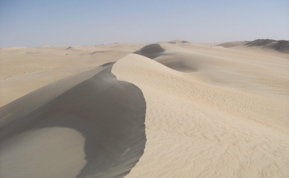 Dunes in an expansive desert