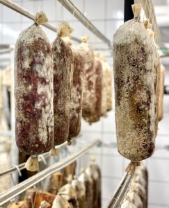 Air-dried salami hanging in rows