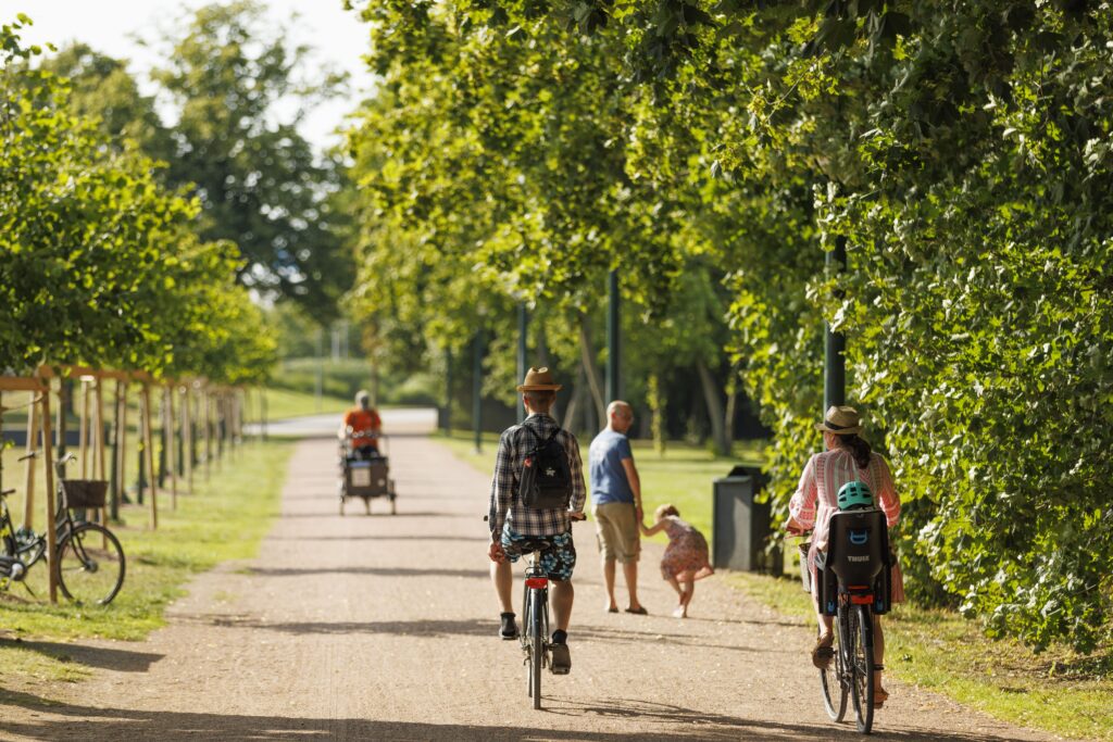 People cycling on gravel road among green trees