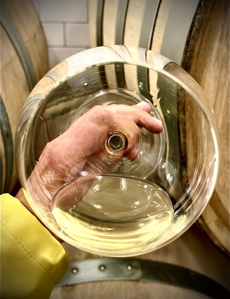 A glass of white wine with wine barrels in the background.