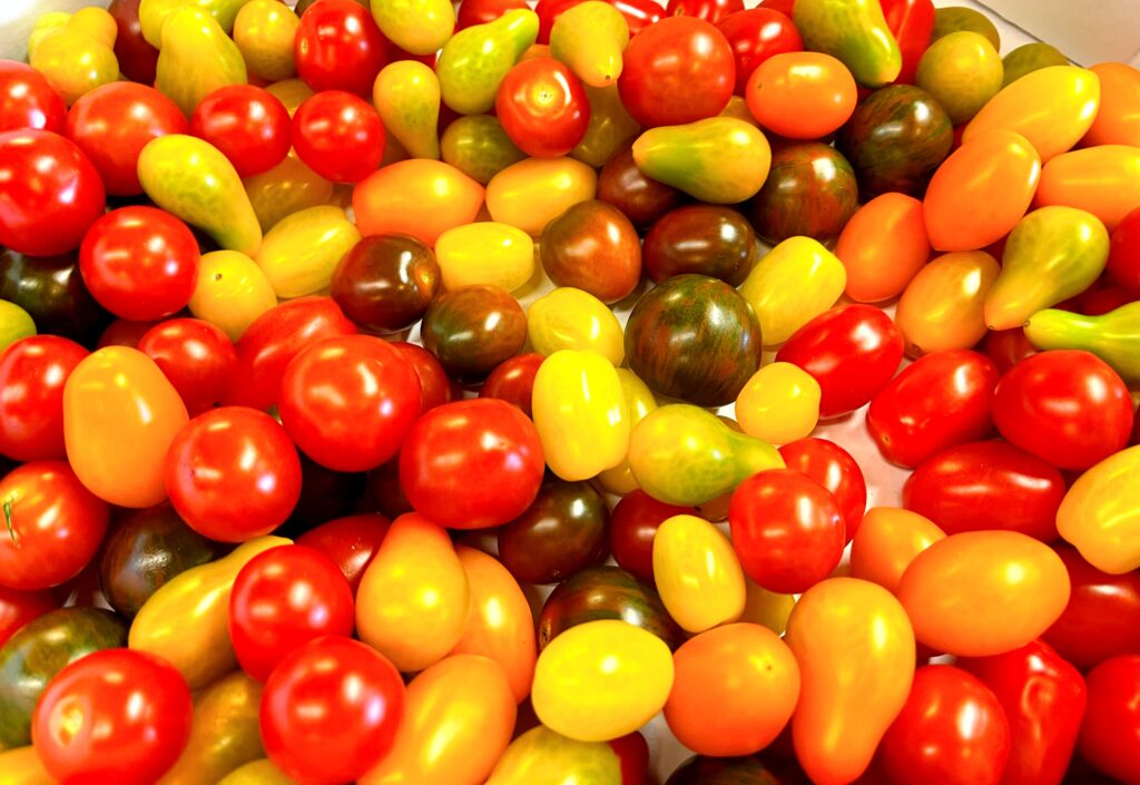 Cherry tomatoes in all colours