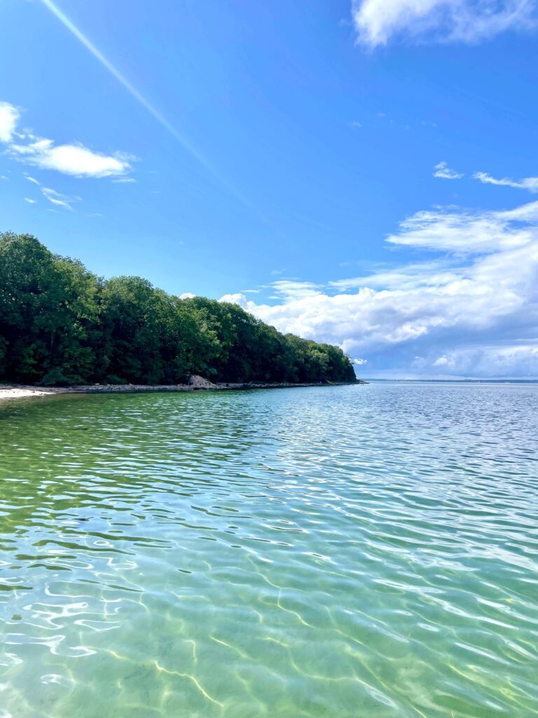 Green and blue water near small sand beach and woods.