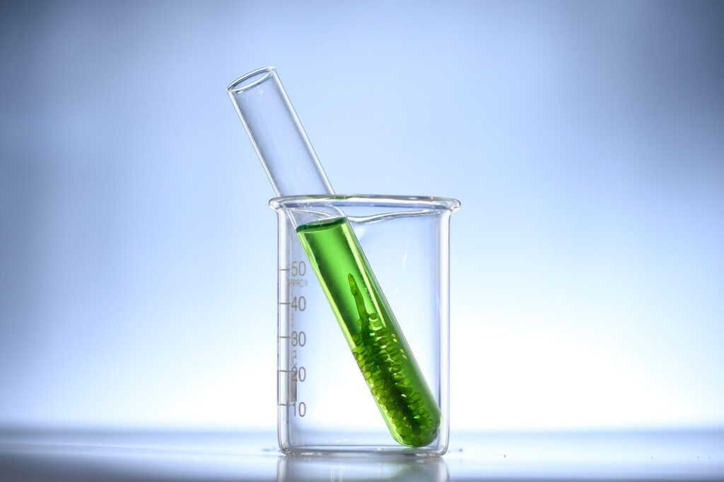 Green algae liquid in test tube