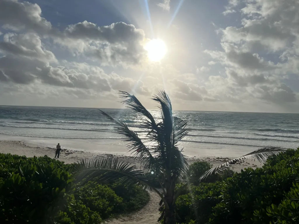 Sandy beach with lush vegatation.