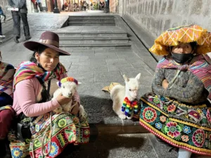 Local woman in colourful garb sitting with baby alpacas on a street corner. 