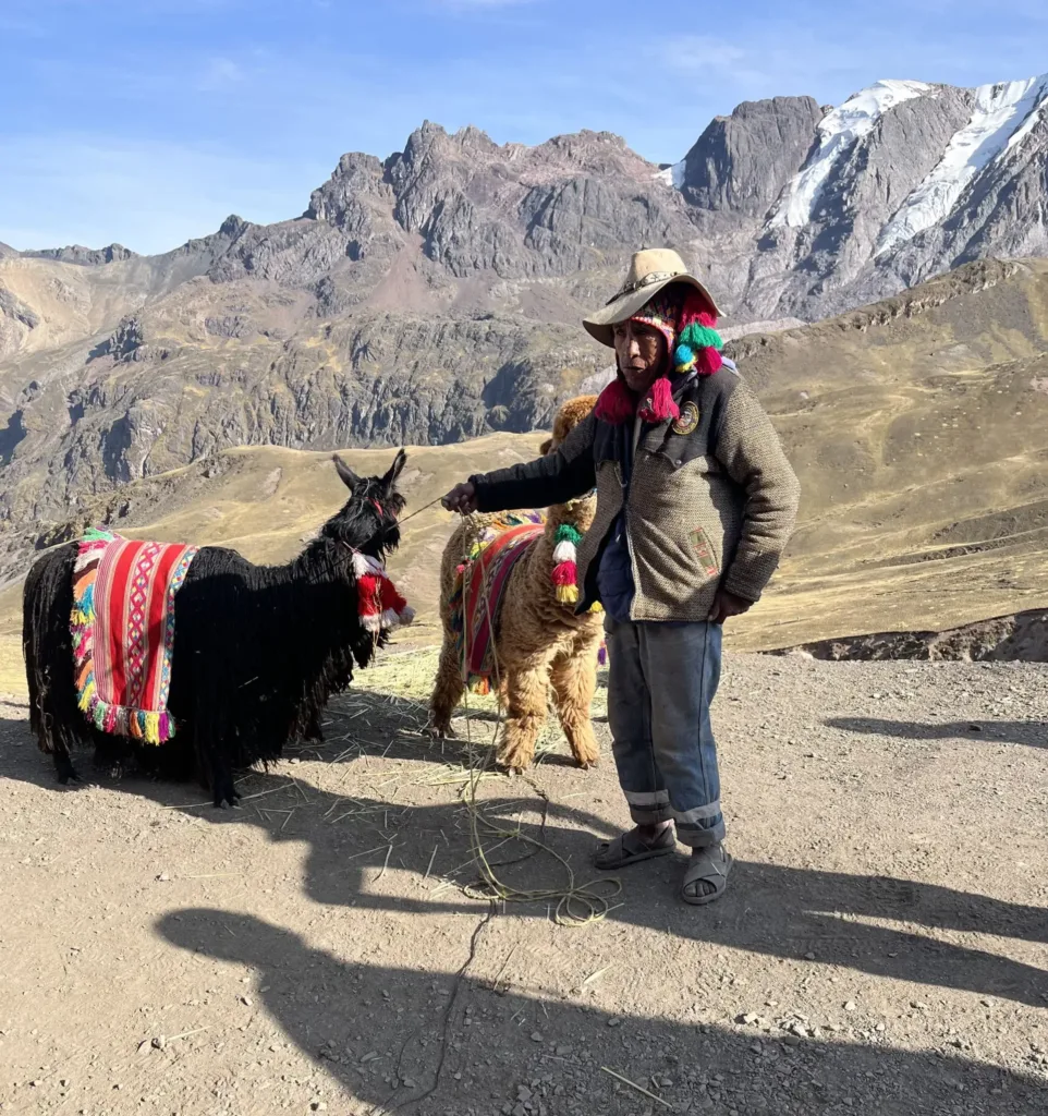 Man with two alpackas in the Andes mountains.