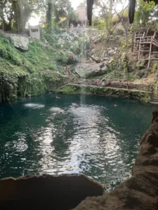 A waterhole surrounded by rock and jungle.