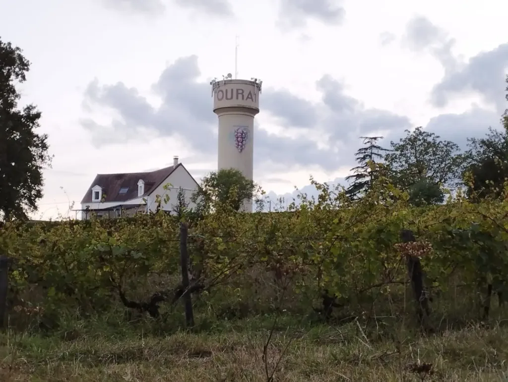 A house and tower in the background of a vineyard