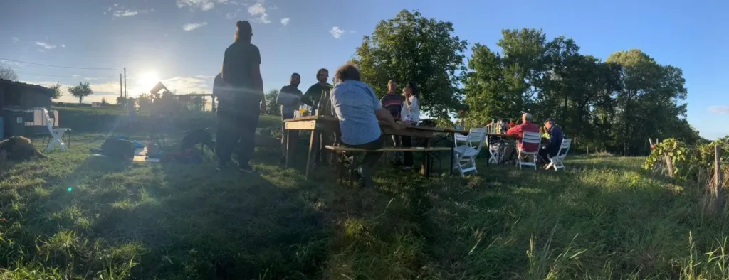 Group of people eating in a vineyard.