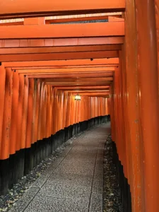 Orange coloured gates lined up one after another with a passage between.