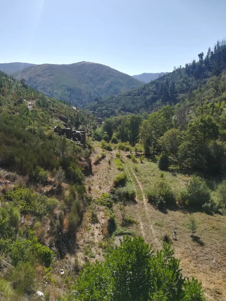 A valley with a variety of green trees covering the hills.