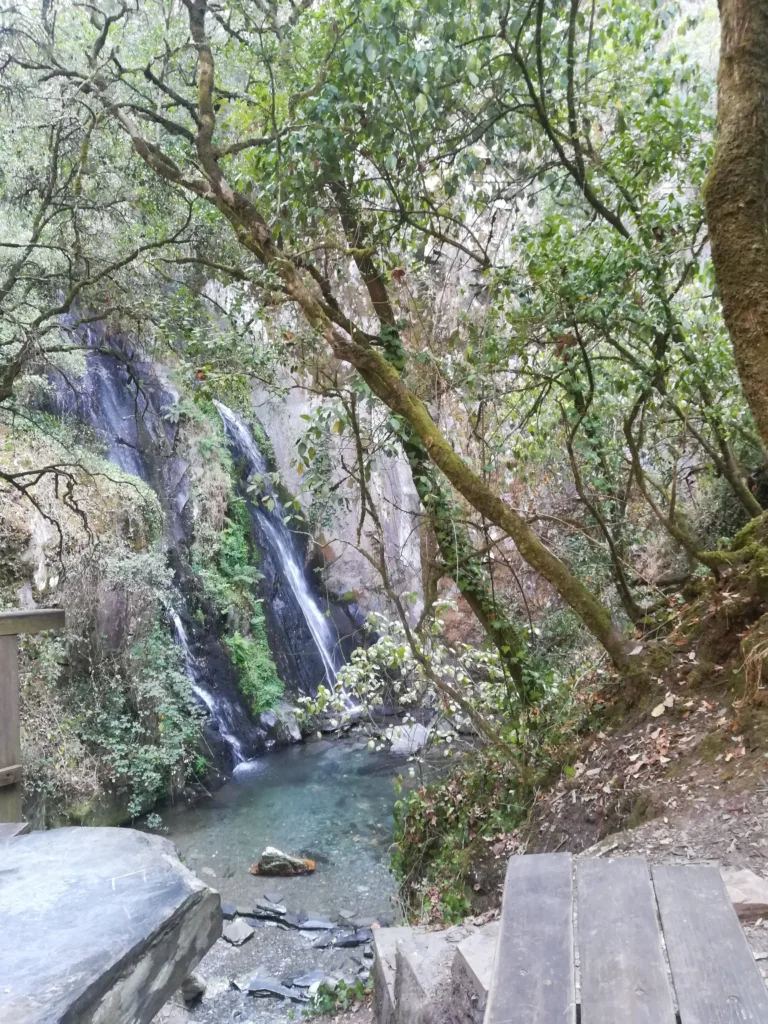 A creek by a waterfall in a forested area.