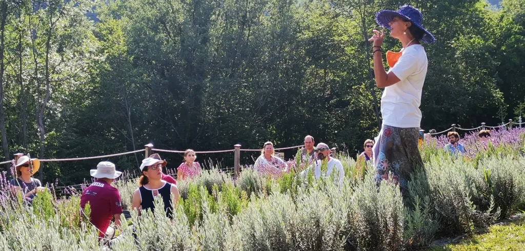 Group of women in lavender field doing yoga