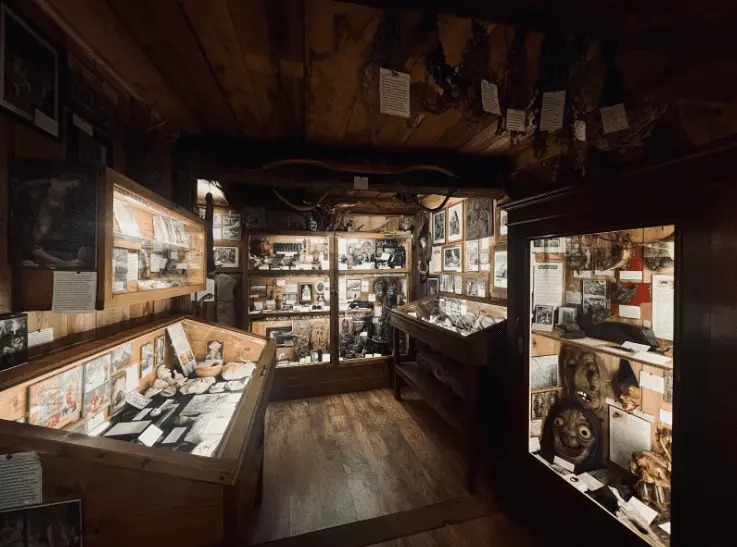 Museum display cases