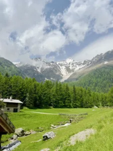 Small hut near a path between a forest and mountains. 