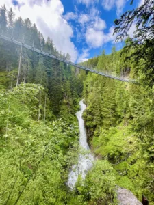 A suspension bridge spanning a stream and forest.