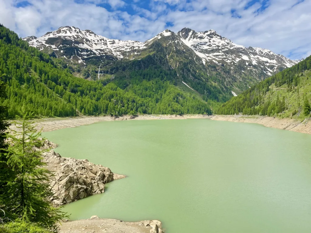 Alpine lake with green tint surrounded by forest and mountains.