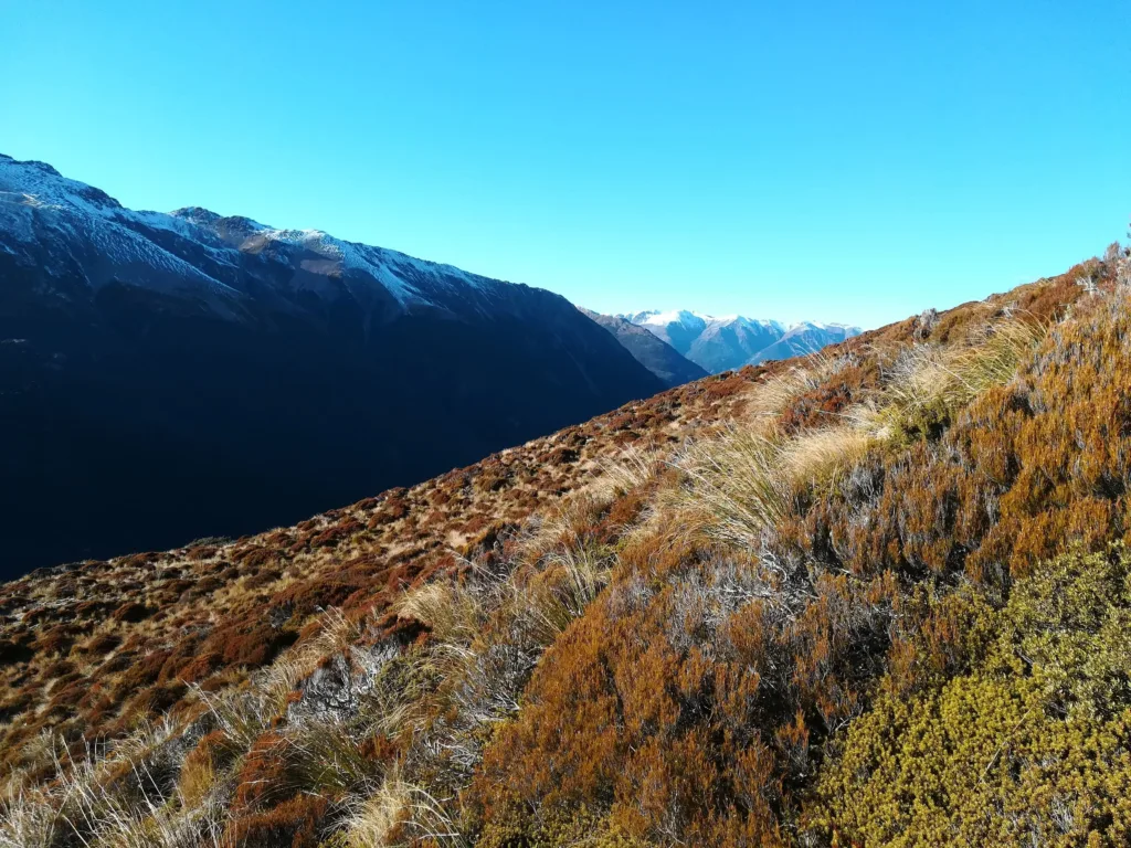 Snow covered grass amid mountains
