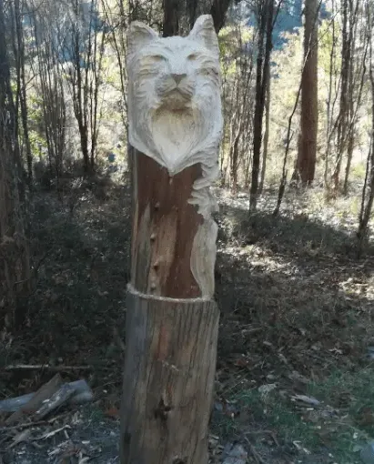 Woodcarved cat 