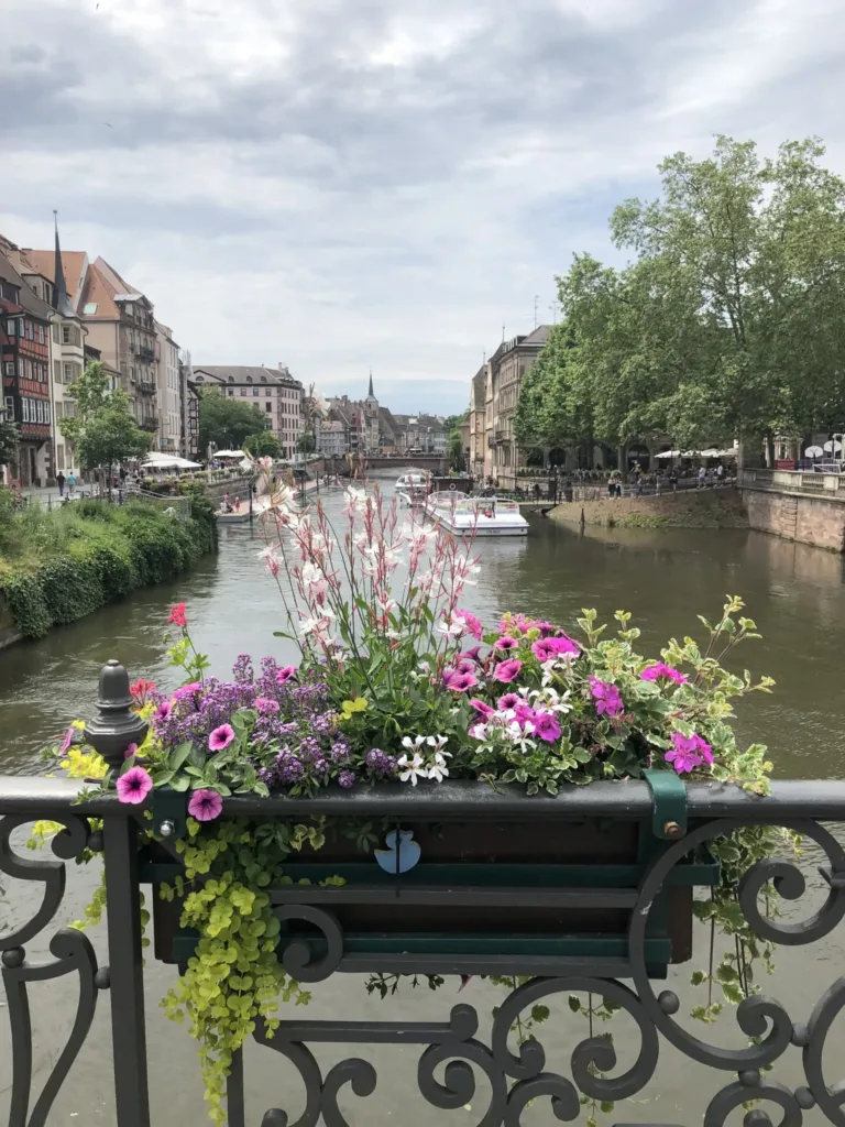 Flowers hanging on a bridge over a canal with buildings flanking the canal.