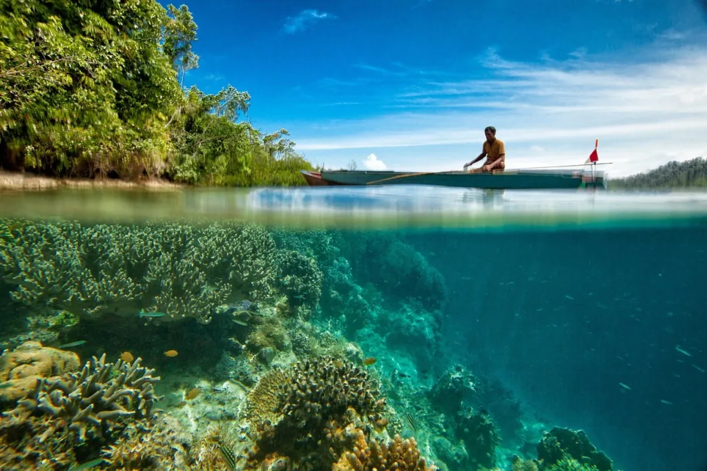View of coral under the sea with a man in a canoe
