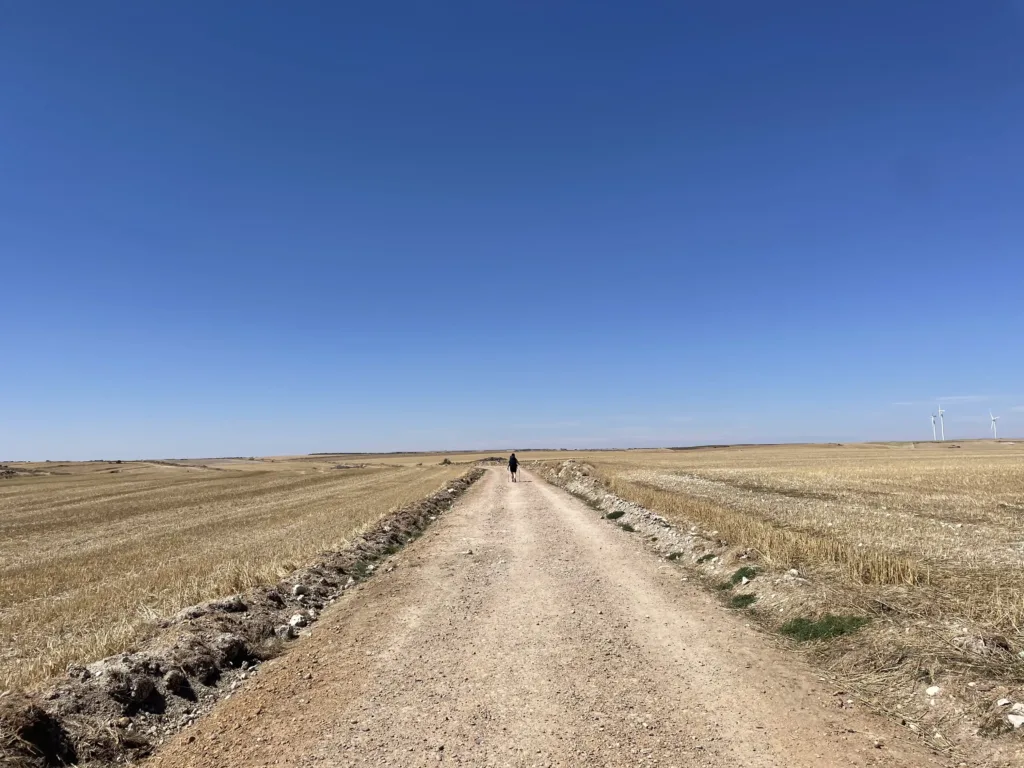 Open landscape view with a trail in the middle