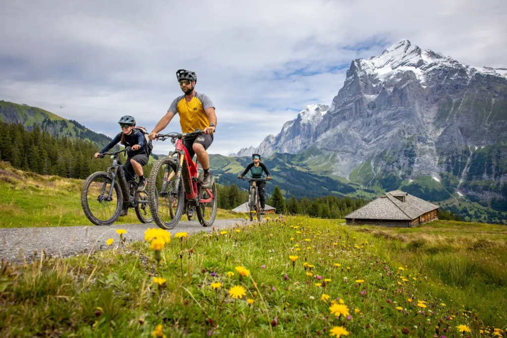 Three bikers with snow capped mountains in the background.