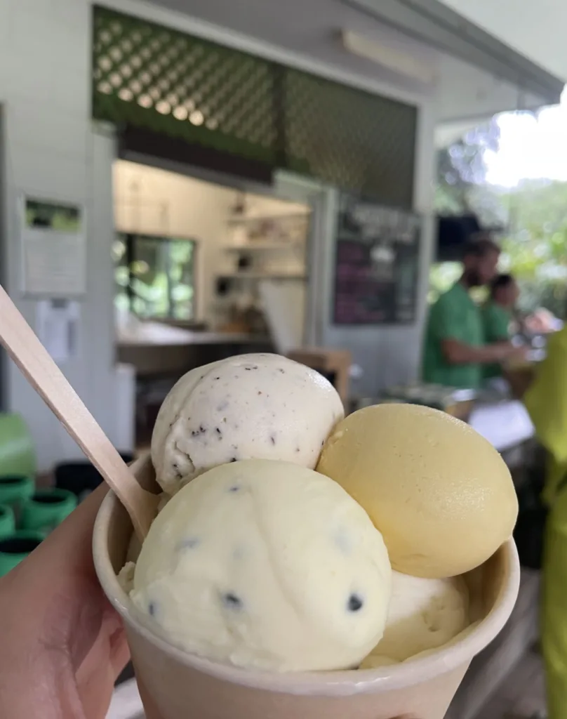 Cup with 3 ice cream scoops