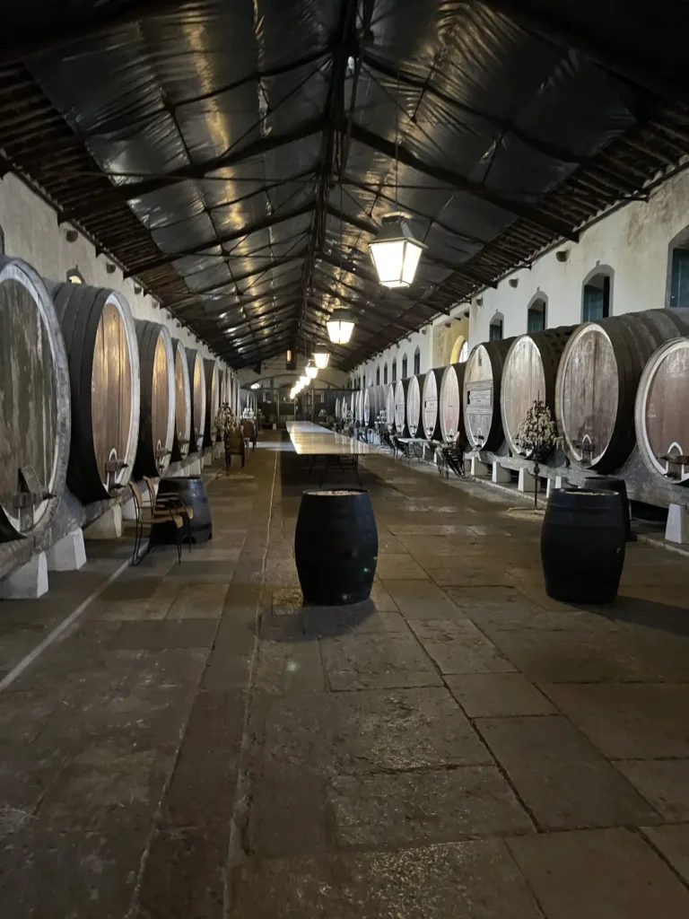 Wine cellar with huge barrels lined up on each side of a large room with a long table in the middle.