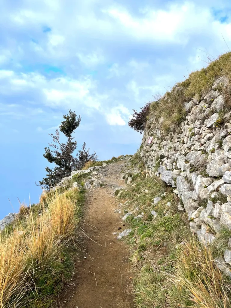 A winding path in the mountains.