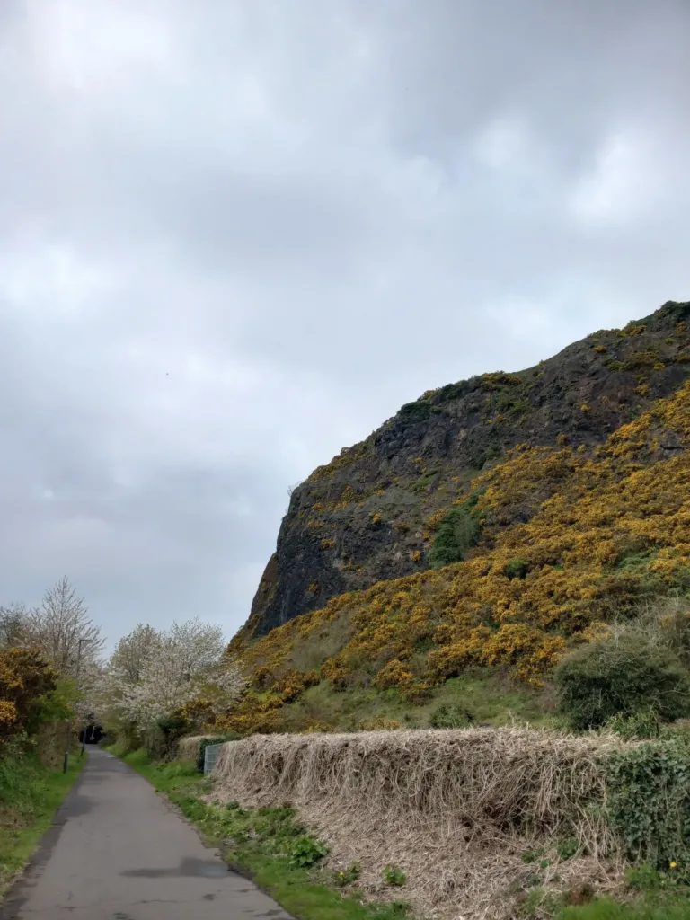 Walkway next to a bushy hill