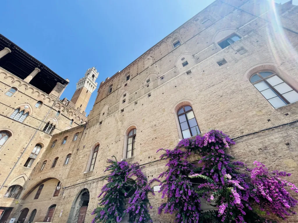 Purple flowers on a wall with a tower overlooking the courtyard