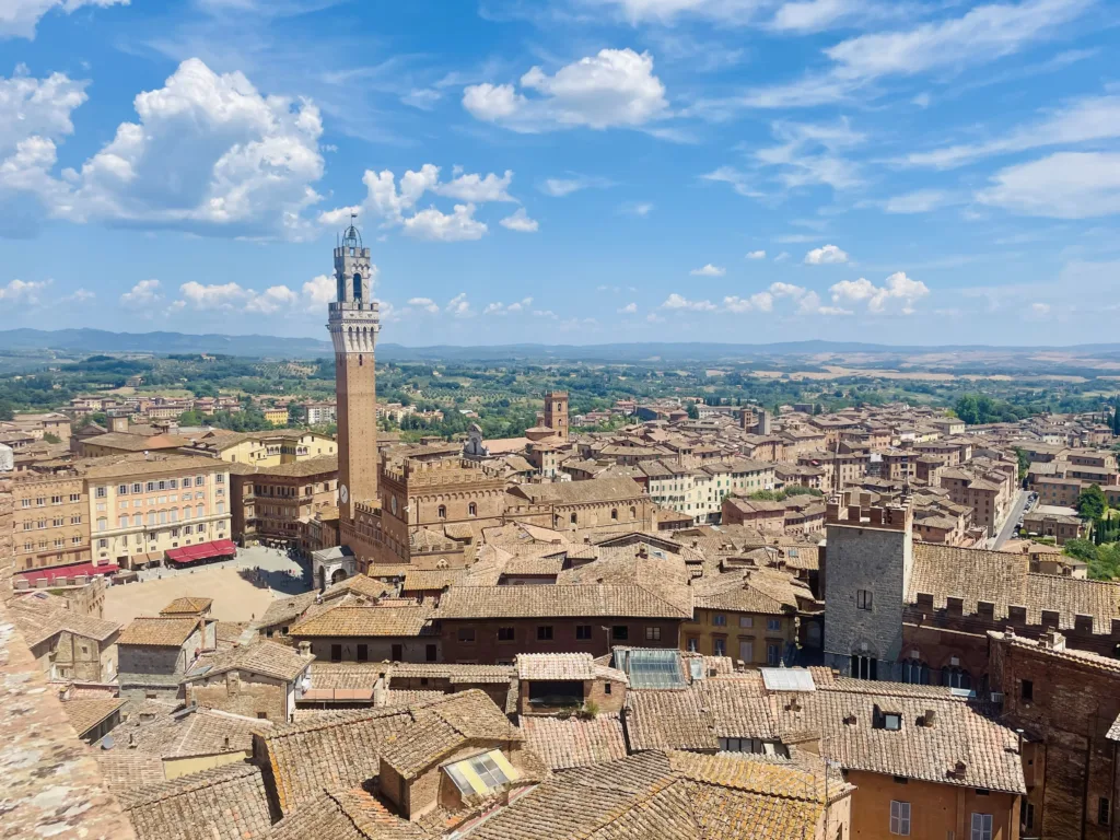 View from tower overlooking city roofs and a square with another tower
