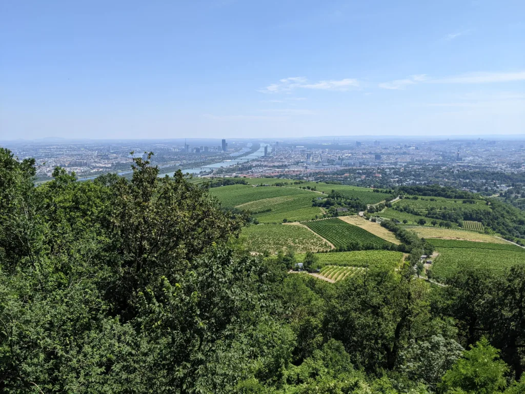 View from mountain over landscape of vineyards and river