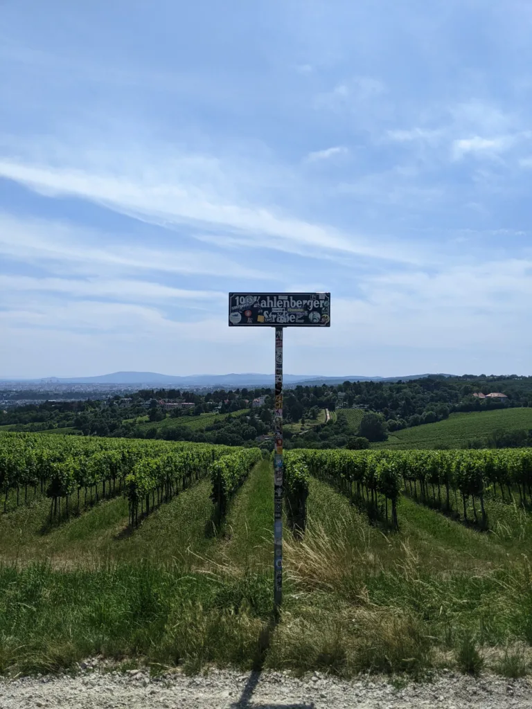 Street sign near rows of vines