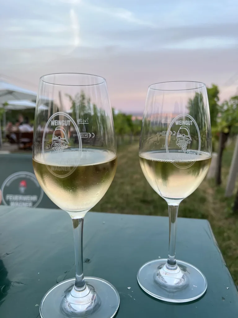 Two glasses of white wine on a table between vines