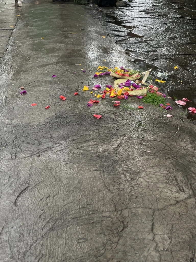 flowers and basket on the road