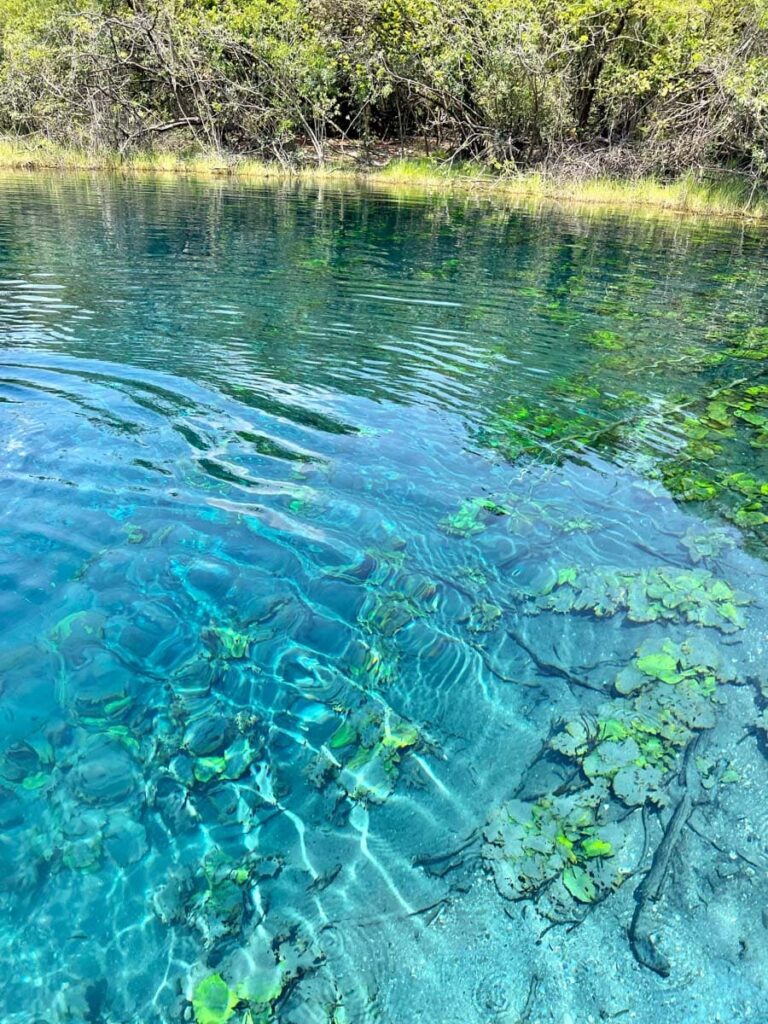 Crystalline water