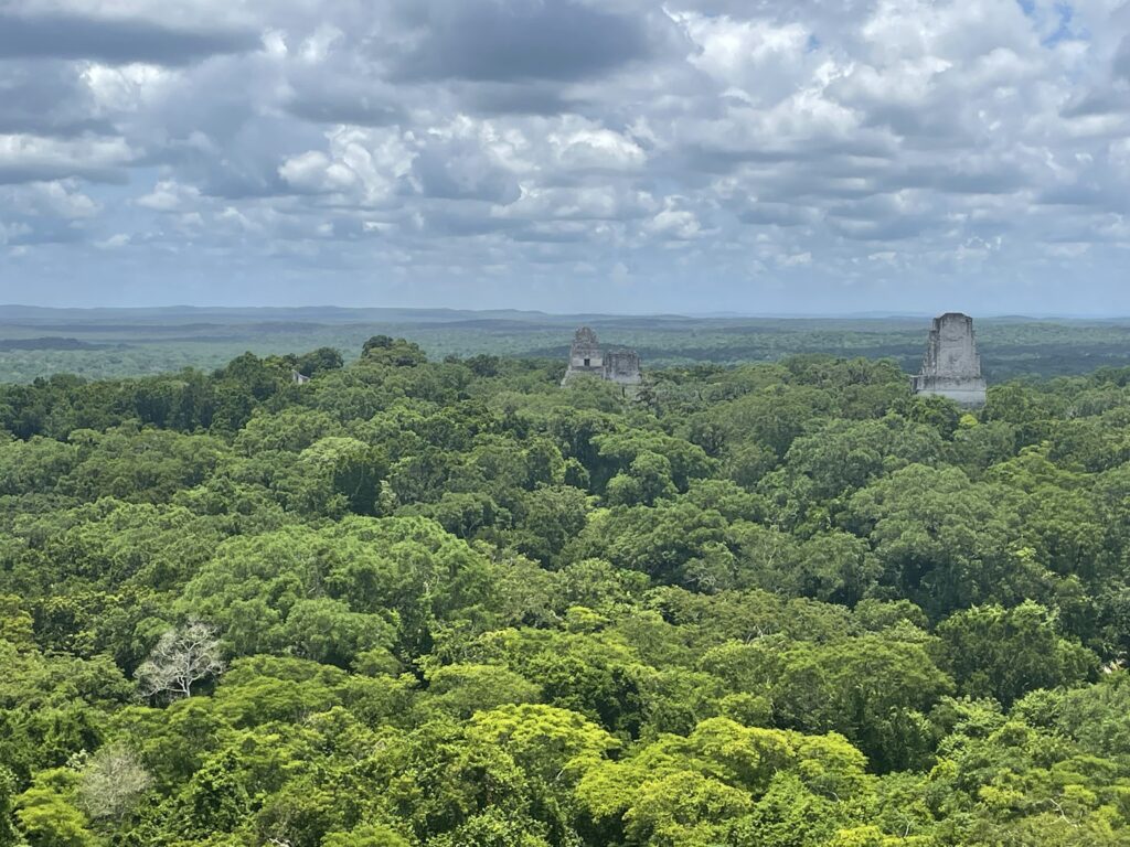 Stepped pyramids towering above the surrounding jungle