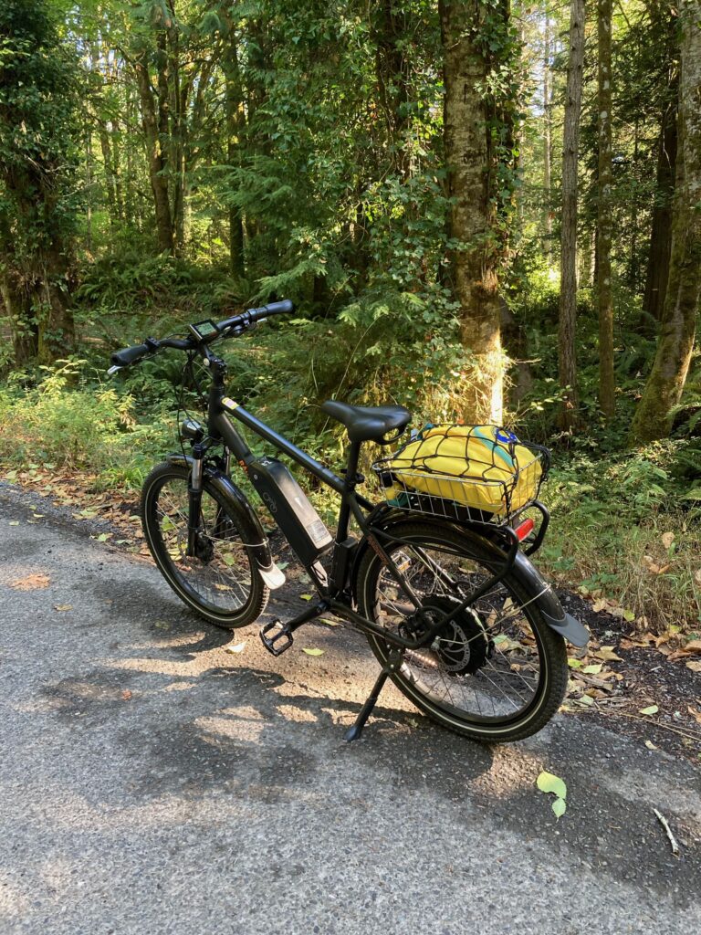 An electric bike on the side of the road near a forest