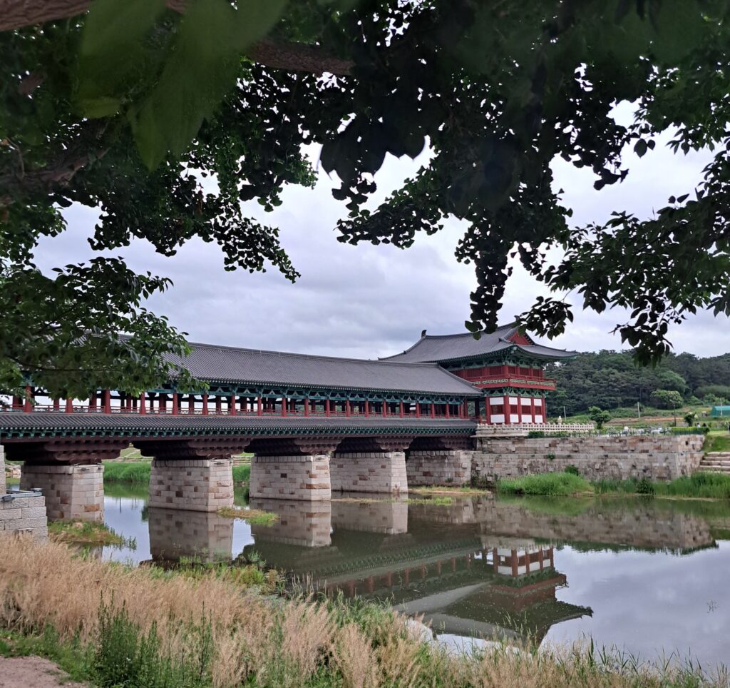 A covered bridge spanning a river in forested environment