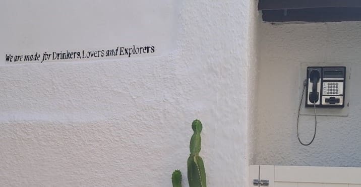 Printed text on a white wall with a cactus and pay phone