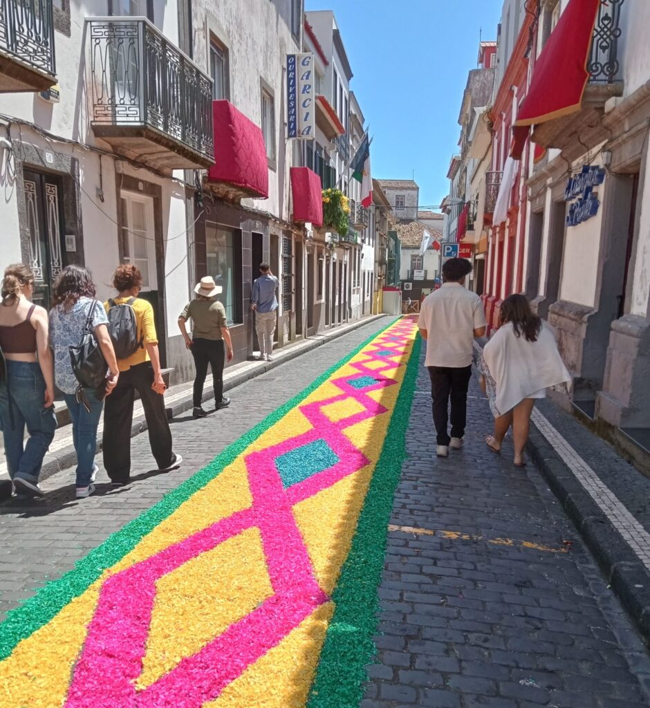 Narrow street with coloured pattern running in the middle and people walking on each side of it.