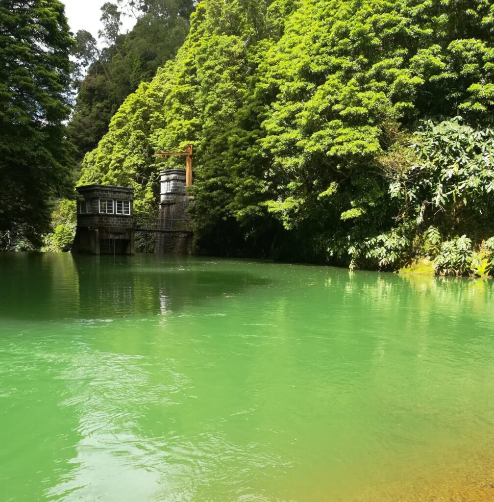 Green water lake with green forest blanket flanking it